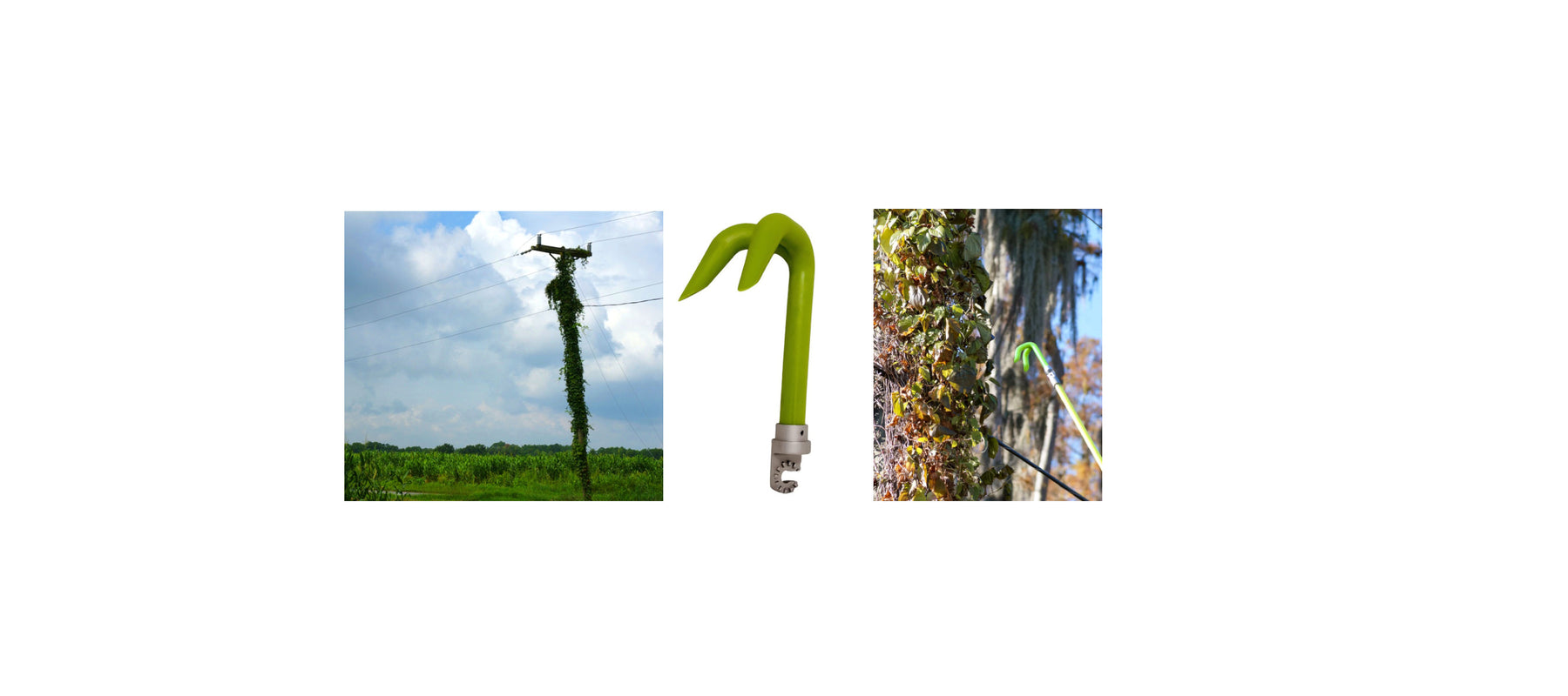 How to get vines off of a telephone / utility pole.